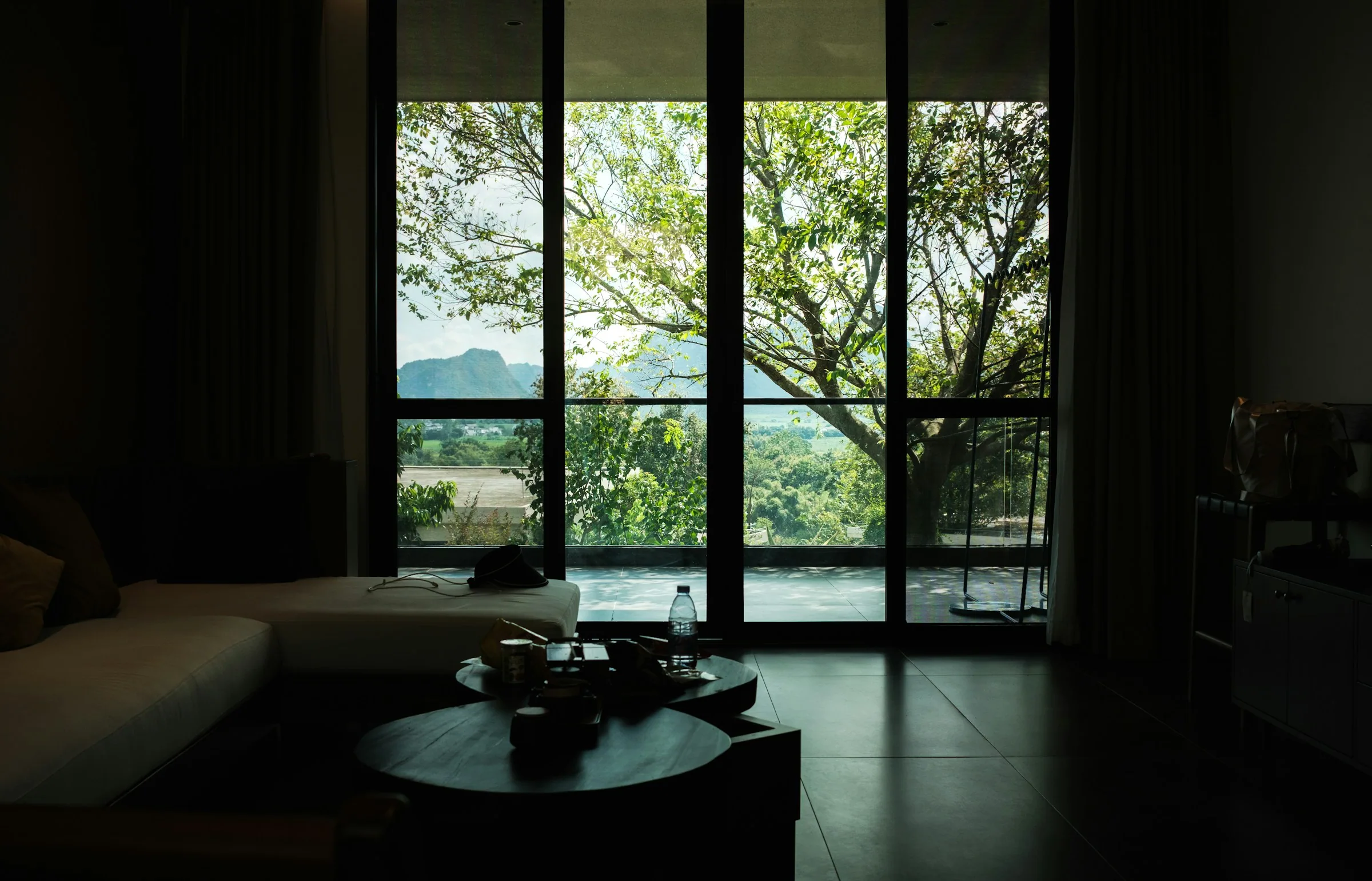 An unlit room with tall black window frames, the trees outside the only bright thing in the frame